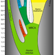 A simplified model for the evolution of the genus Homo over the past 2 million years.